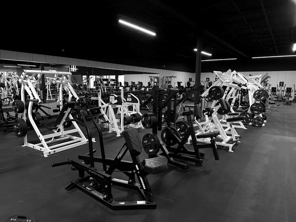 Máquinas de musculación con discos dispuestas en filas en el piso de entrenamiento de Rhein Athletic Club, techo negro e iluminación lineal arriba.